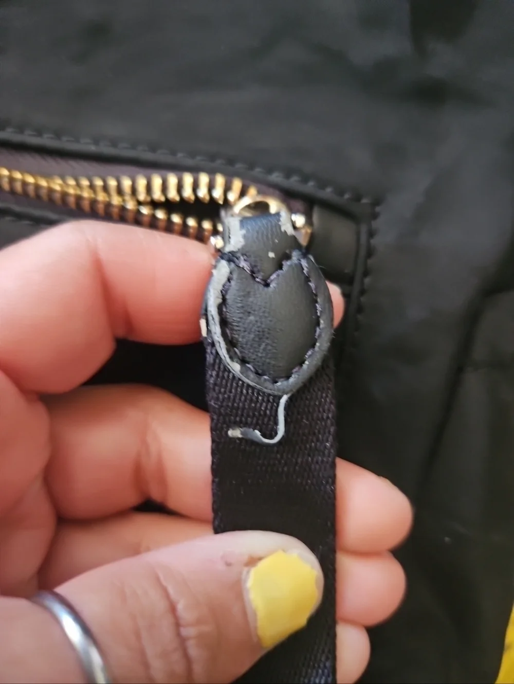 Kate Spade Chelsea Nylon Medium Designer Classic Everyday Backpack